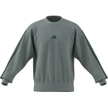 adidas Sweatshirt Wonder Sage/Collegiate Green XL