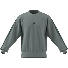 adidas Sweatshirt Wonder Sage/Collegiate Green XL