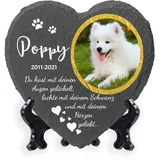 AIGAT Personalisierbare Herz Gedenktafel 25 x 25 cm mit Name, Datum, Foto und Ständer für Haustier Katze Hund Schiefer Stein Pfote Grabmal - Gold Rahmen Foto