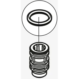 Hansgrohe Raindance O-Ring