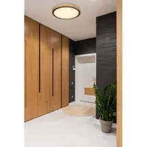 GLOBO LED-Deckenleuchte Bruno 1-flammig Schwarz matt 307 x 90 mm