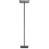 Hell Andy 1-flammig H ca. 185,00 anthrazit matt