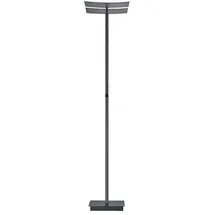 Hell Andy 1-flammig H ca. 185,00 anthrazit matt