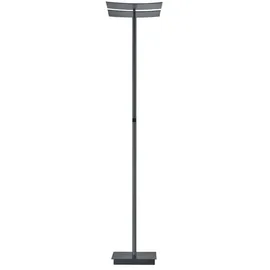 Hell Andy 1-flammig H ca. 185,00 anthrazit matt
