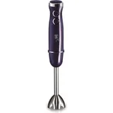 Berlinger Haus BH/9381 Stabmixer