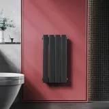 Elegant - Heizkörper Anthrazit Flachheizkörper Heizung Vertikal Einlagig 600x311mm
