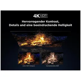 TCL 55C6K 55 Zoll QLED MiniLED 4K Smart TV