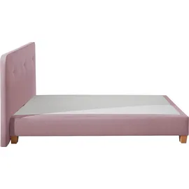 Home Affaire Boxspringbett »Fargo« inkl. Topper, in 3 Matratzenarten, in Samt- oder Strukturstoff