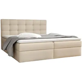 Fun Möbel Fun Moebel - Beige