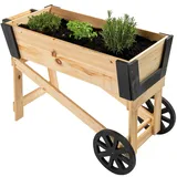 nyvi Pflanzbeet NYVIGreen Mini mit Rädern - Kleines Gartenbeet Perfekt für Jungpflanzen, Gemüse. Kräuter & Blumen