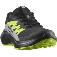 Salomon Alphaglide Goretex Trailrunning-schuhe - Black / Alloy /