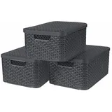 Curver 3-er Set Box M Anthrazit