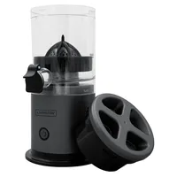 Livington JuiceBoost Slow Juicer schwarz