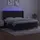 vidaXL Boxspringbett mit Matratze & LED Schwarz 180x200 cm Samt