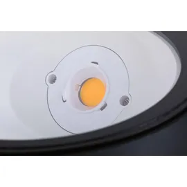Paulmann Außenleuchte Metall 23,3 cm IP67 1 Stk. Anthrazit