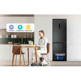 Hisense RB390N4BFC Kühl-Gefrierkombination (304 l, 1860 mm hoch, Black Inox)