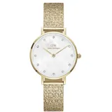 Daniel Wellington Petite Lumine Pressed Piano