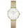 Daniel Wellington Petite Lumine Pressed Piano