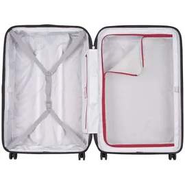 Delsey Segur 2.0 4-Rollen 79,5 cm / 109 l grey