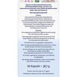 Queisser Doppelherz Leber Extra system Kapseln