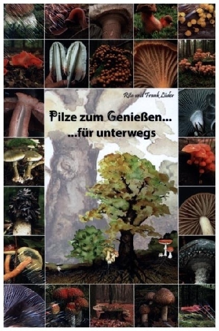 Pilze Zum Genießen... Für Unterwegs - Rita Lüder  Frank Lüder  Kartoniert (TB)