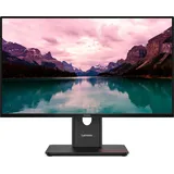 Lenovo ThinkVision T24-40, 23.8" (64A4MATXEU)