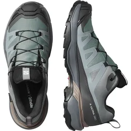 Salomon X Ultra 360 GTX Damen Sedona Sage/Urban Chic/Etherea 41