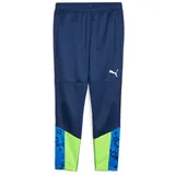 Puma individualCUP Trainingshose Blau S