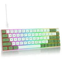 SOLIDEE mechanische Gaming Tastatur 65 Prozent,68 Tasten kompakte mechanische Tastatur RGB Hintergrundbeleuchtung,65 Prozent Tastatur mechanisch QWERTY,Roter Schalter für Win/Mac PC Laptop(68 Matcha)