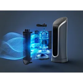 Rowenta Eole Compact 30 cm Turmventilator Schwarz