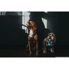 Hunter Divo Hundegeschirr Dunkelblau/Grau S