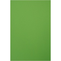 Folia Tonpapier 130g/m2, 50x70cm, 10 Bogen, hellgrün
