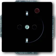 Busch-Jaeger Steckdoseneinsatz 2310 EUGL/VA-81-11 Anthrazit