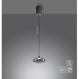 Schöner Wohnen Posh 1-flg. dimmbar 22 cm grau Glas