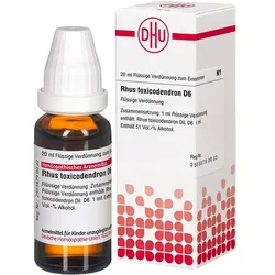 Rhus toxicodendron D6  Flüssige Verdünnung 20 ml