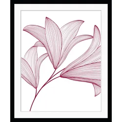 Bild QUEENCE "Imsa", rosa (farbe rahmen: schwarz, farbe bild(er): rosa), B:50cm H:70cm, Acrylglas, Papier, Holz, Bilder, gerahmt, Blumen