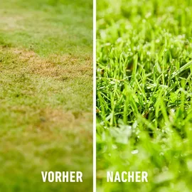 Compo Bio Rasendünger 3 kg