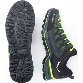 Salewa Herren MTN Trainer Lite GTX Schuhe (Größe 44.5, gruen)