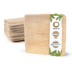 BIOZOYG 100 Stück Einwegteller 20x20cm Palmblatt-Teller, quadratisch, biologisch abbaubar, umweltfreundlich, kompostierbar, Wegwerfteller