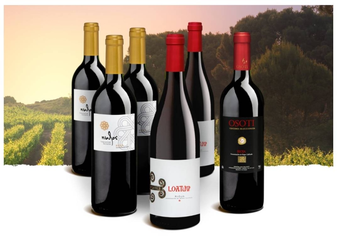 Probierpaket «Best of Rioja» 5+1 Rote Kundenlieblinge aus der Rioja, Bio Probierpakete