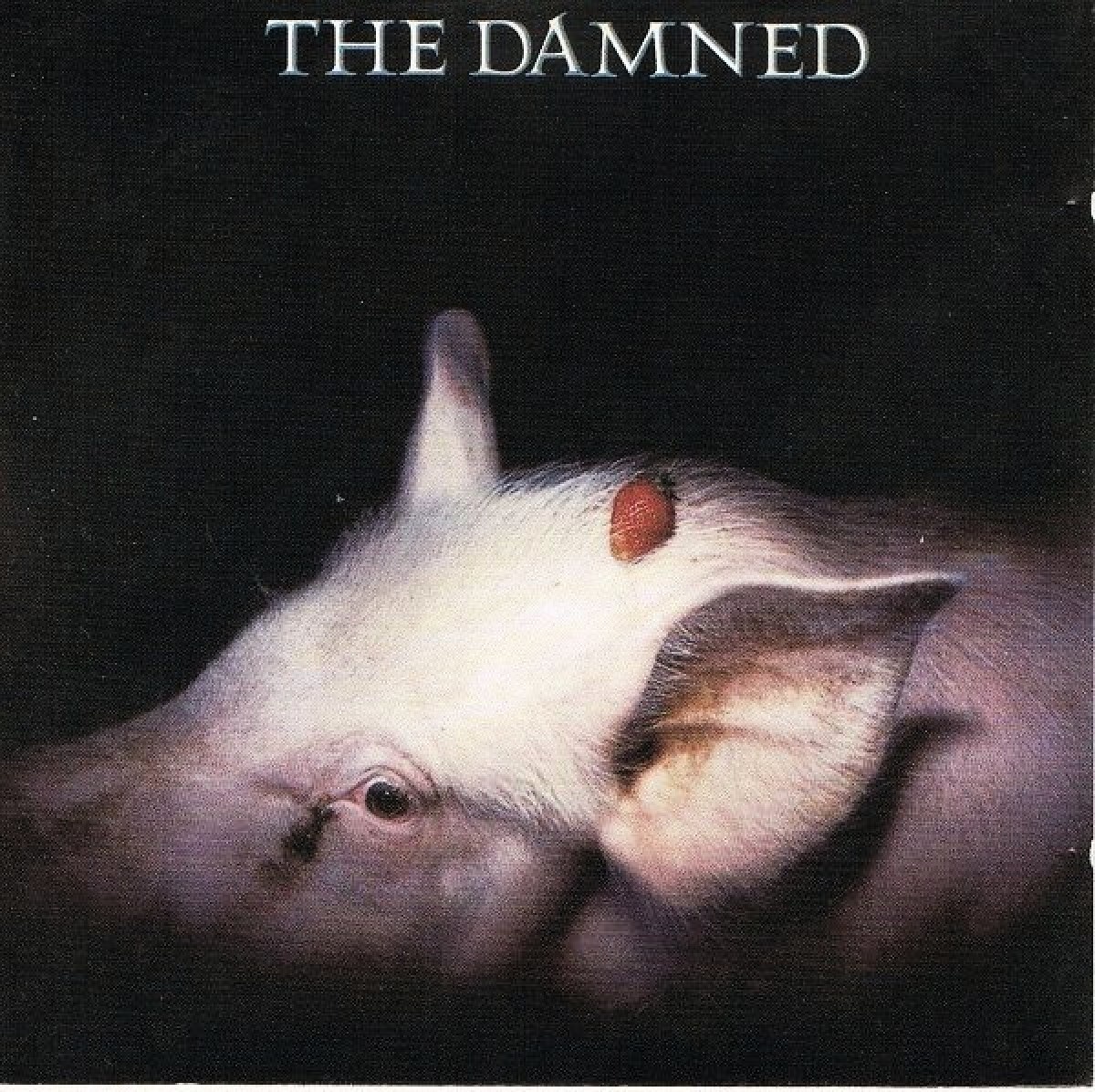 Strawberries (Vinyl) - The Damned. (LP)