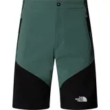 NF0A825XLFW M Slim Tapered Short Herren Duck Green/TNF Black Größe 30