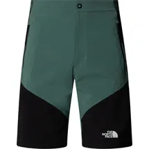 The North Face NF0A825XLFW M Felik Slim Tapered Short Shorts Herren Duck Green/TNF Black Größe 30