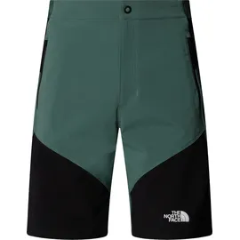 The North Face NF0A825XLFW M Felik Slim Tapered Short Shorts Herren Duck Green/TNF Black Größe 30