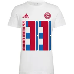 ADIDAS Herren Fanshirt FC Bayern München Meister, WHITE, S