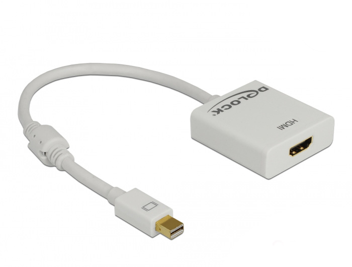 DeLock Adapter