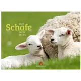 Ackermann Schafe Kalender 2026