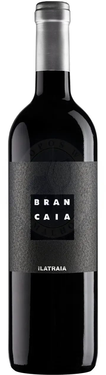 Ilatraia IGT 2020 Brancaia 0,75l
