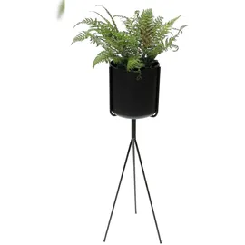 DanDiBo Ambiente Blumenhocker mit Topf 80 x 80 cm Schwarz