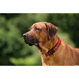 Hunter Halsband Neopren Vario Plus Größe M rot/schwarz